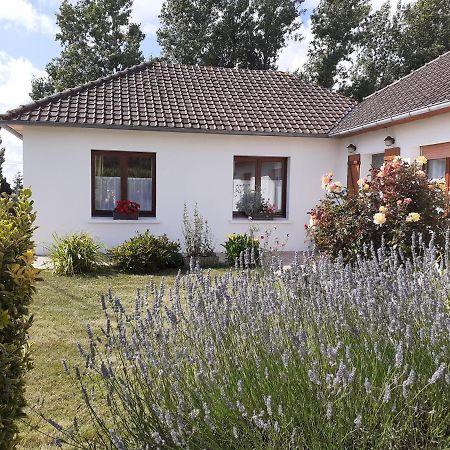 Studio Du Gite Wavrans-sur-l'Aa Exteriör bild