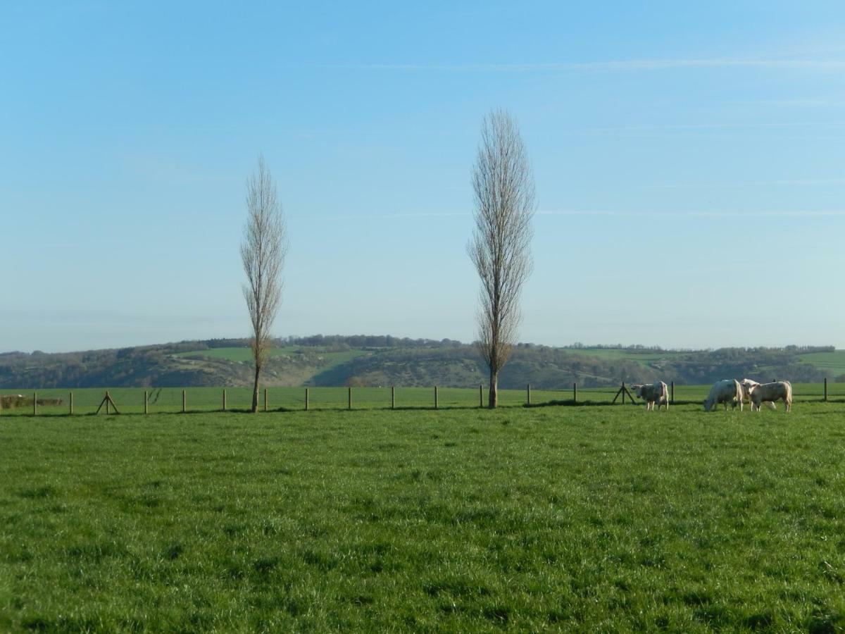Studio Du Gite Wavrans-sur-l'Aa Exteriör bild