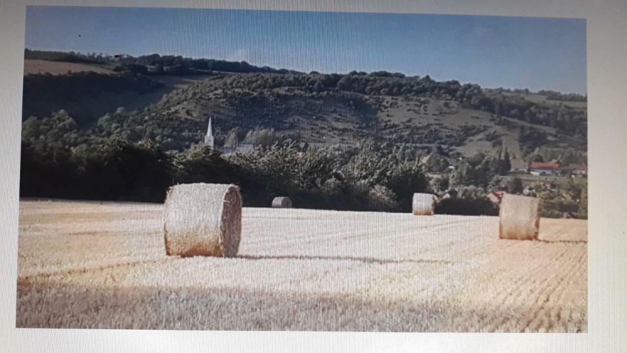 Studio Du Gite Wavrans-sur-l'Aa Exteriör bild